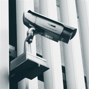 privacy